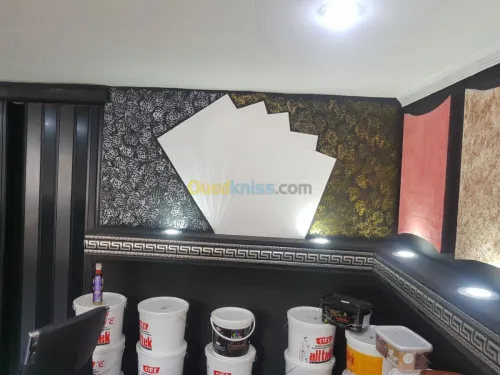 Placo platre et pientur décoration