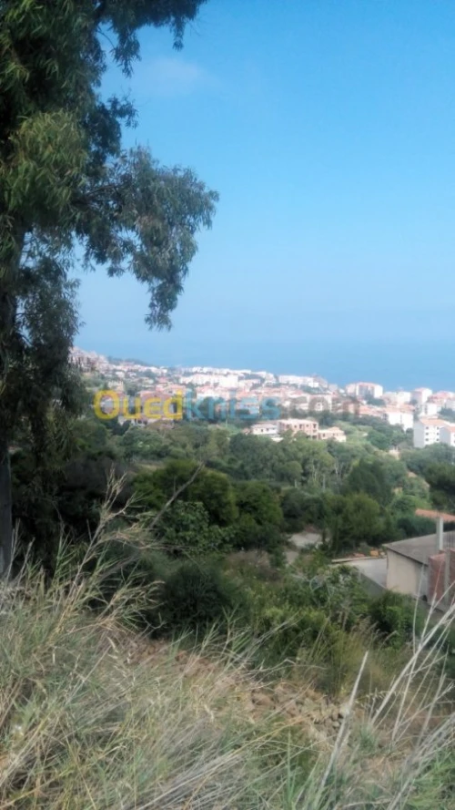 Location vacances Boumerdès Dellys