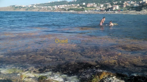 Location vacances Boumerdès Dellys