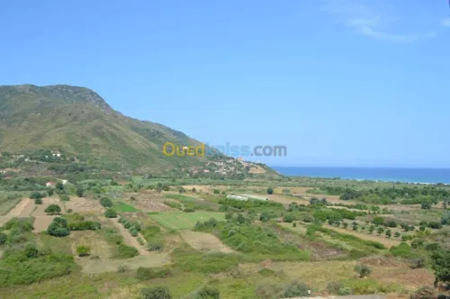 Location Appartement F3 Tizi ouzou Azeffoun