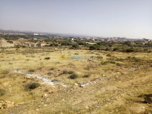 Vente Terrain Mostaganem Mostaganem