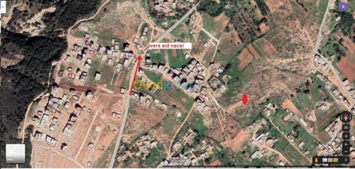 Vente Terrain Mostaganem Mostaganem