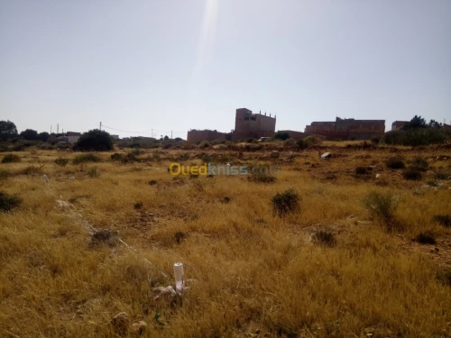 Vente Terrain Mostaganem Mostaganem