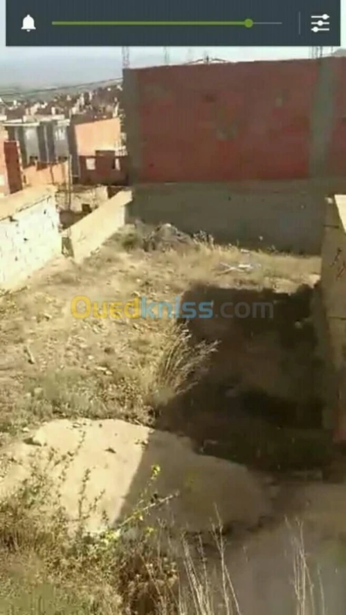 Vente Terrain Tlemcen Maghnia