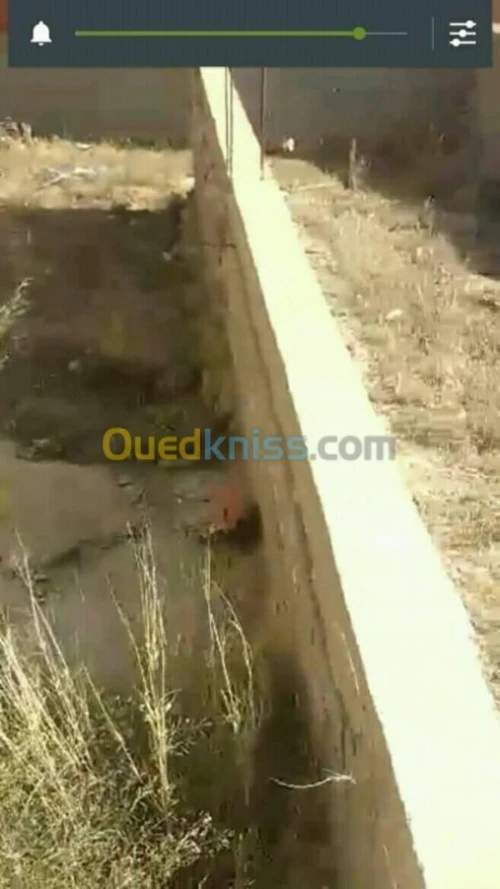 Vente Terrain Tlemcen Maghnia