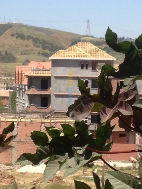 Construction de charpente bois 
