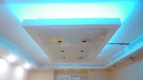  Placo platre faux plafond BA13 et pvc