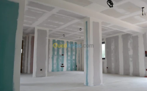  Placo platre faux plafond BA13 et pvc