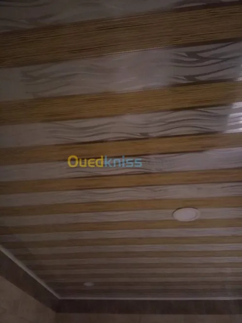  Placo platre faux plafond BA13 et pvc