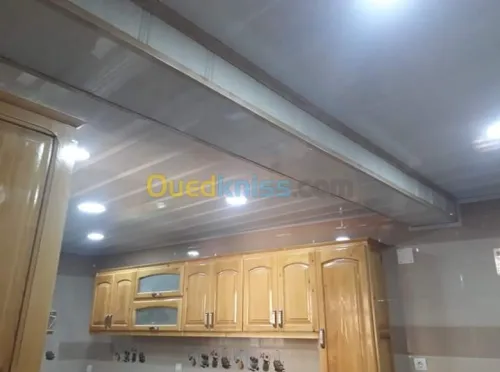  Placo platre faux plafond BA13 et pvc