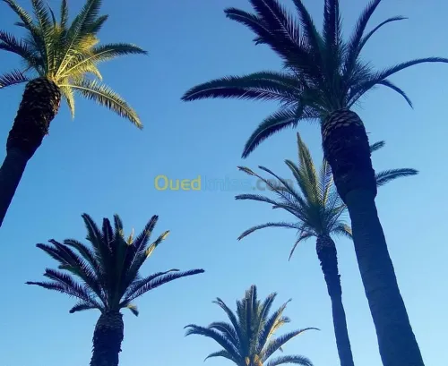 Aménagement des espaces verts