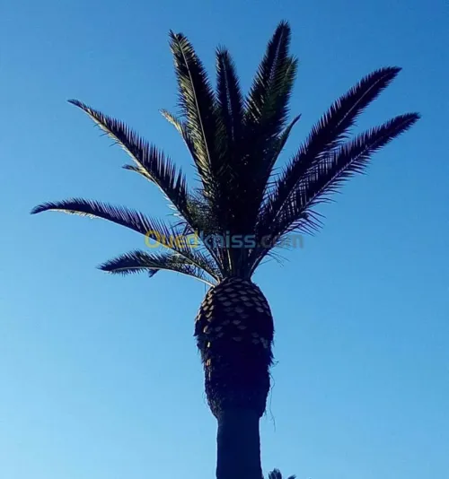 Aménagement des espaces verts