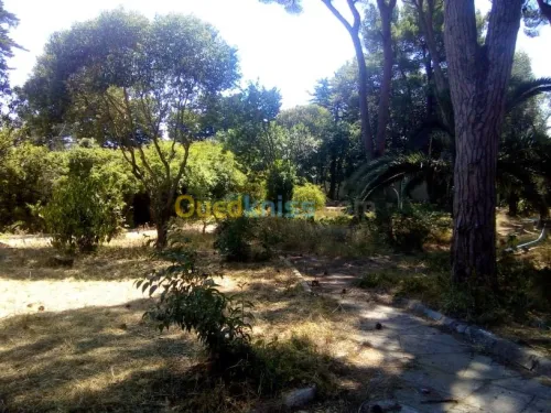 Aménagement des espaces verts