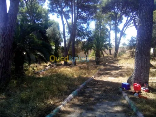 Aménagement des espaces verts