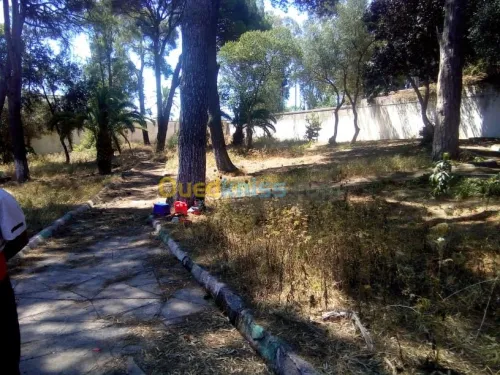 Aménagement des espaces verts