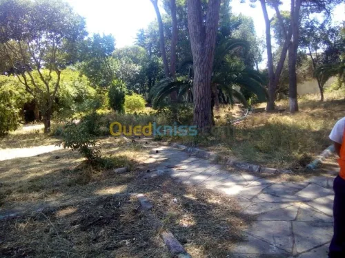 Aménagement des espaces verts