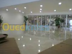 ponçage et lustrage,carrelage,marbre..