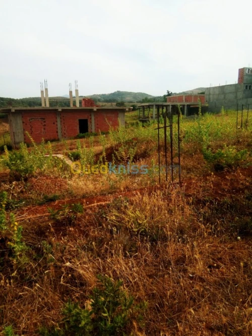 Vente Terrain Tipaza Sidi amar