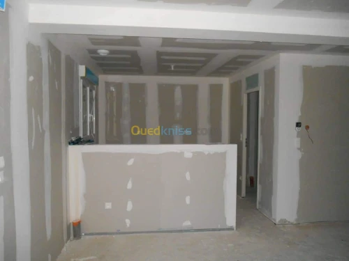 Faux plafonds (placoplâtre b(13),pvc)