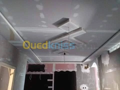 Faux plafonds (placoplâtre b(13),pvc)