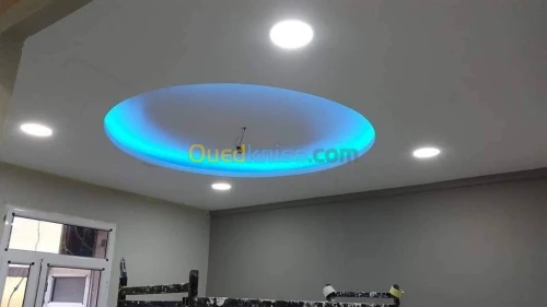 Faux plafonds (placoplâtre b(13),pvc)