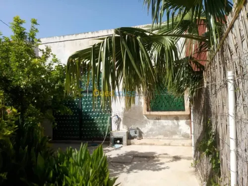Location vacances Niveau De Villa F3 Ain temouchent Hassi el ghella