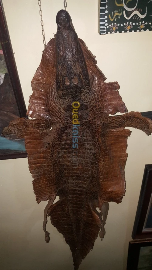 PEAU DE CROCODILE
