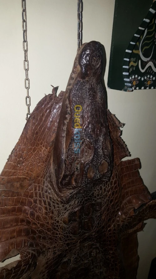 PEAU DE CROCODILE