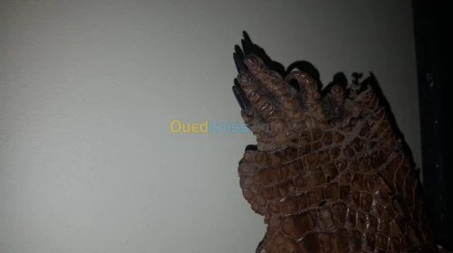 PEAU DE CROCODILE