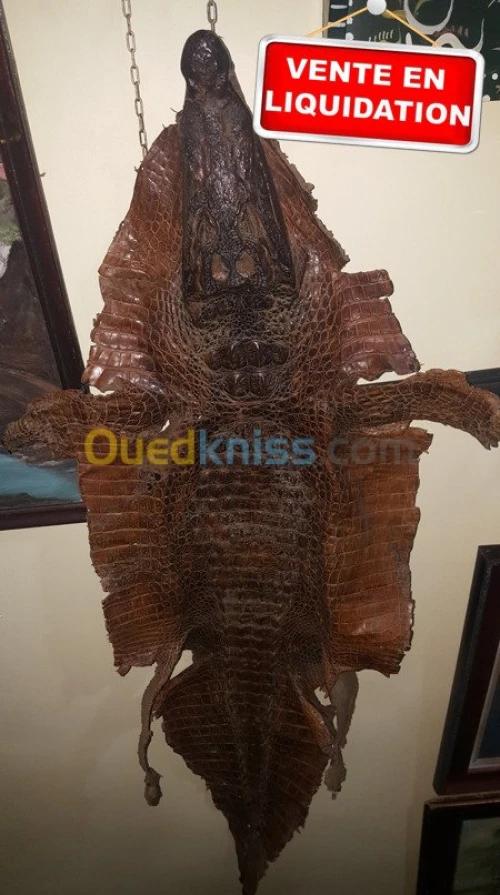 PEAU DE CROCODILE