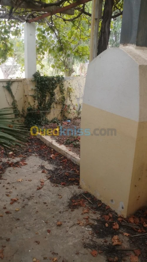 Vente Villa Tlemcen Souahlia
