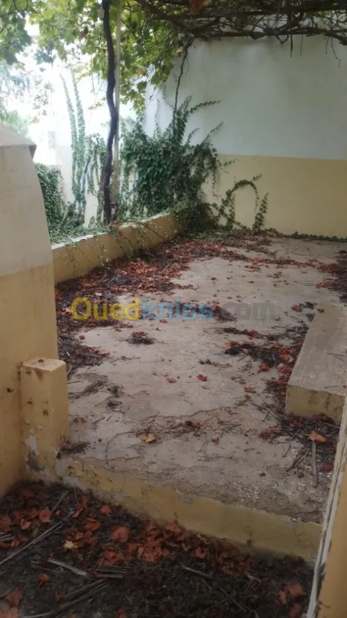 Vente Villa Tlemcen Souahlia