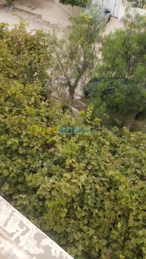 Vente Villa Tlemcen Souahlia
