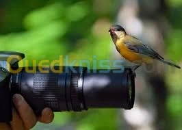 Photographe /camera professionnel