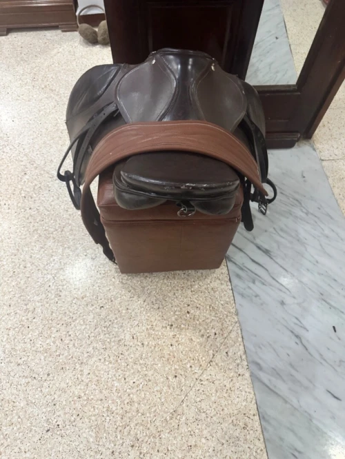 Selle cheval سرج