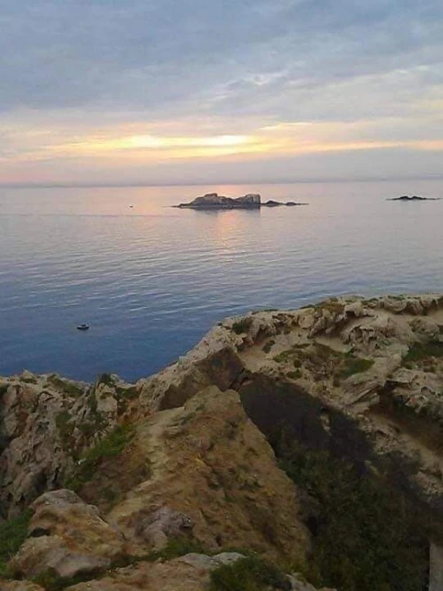 Location Appartement F1 Alger El marsa