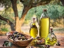 زيت الزيتون