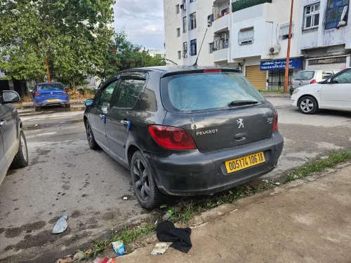 Peugeot 307 2006 Oxygo