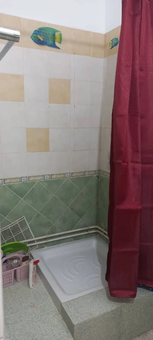 Vente Studio Alger Cheraga