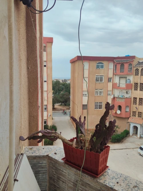 Vente Appartement F4 Alger Staoueli