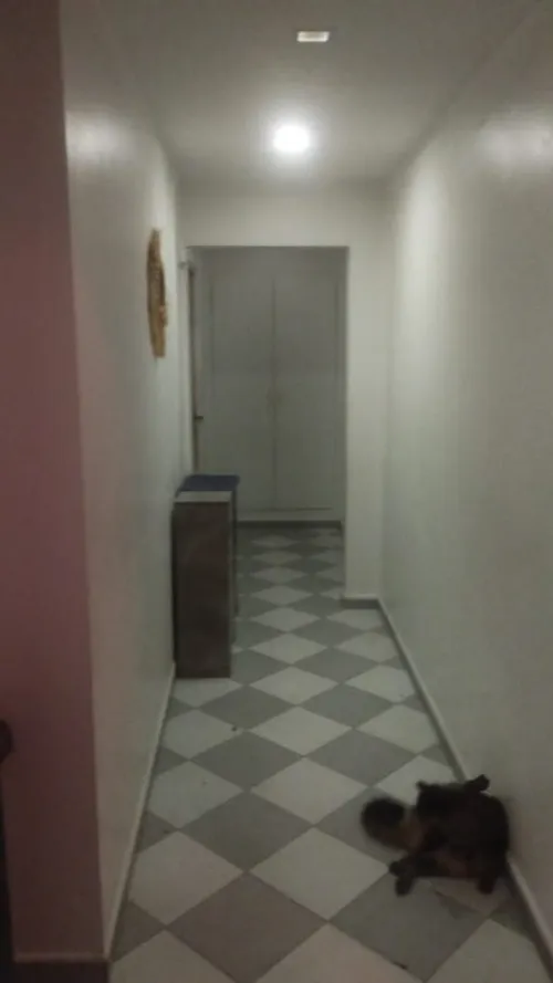 Location Appartement F2 Alger Draria