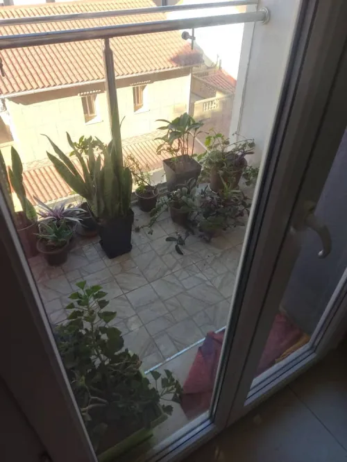 Vente Appartement F3 Alger El achour
