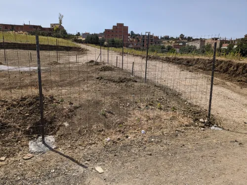 Vente Terrain Boumerdès Larbatache