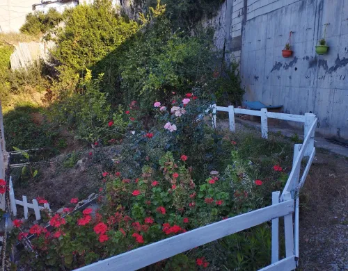 Location vacances Bungalow F3 Béjaïa Bejaia