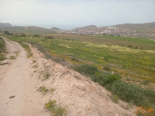 Vente Terrain Agricole Aïn Témouchent Bou zedjar