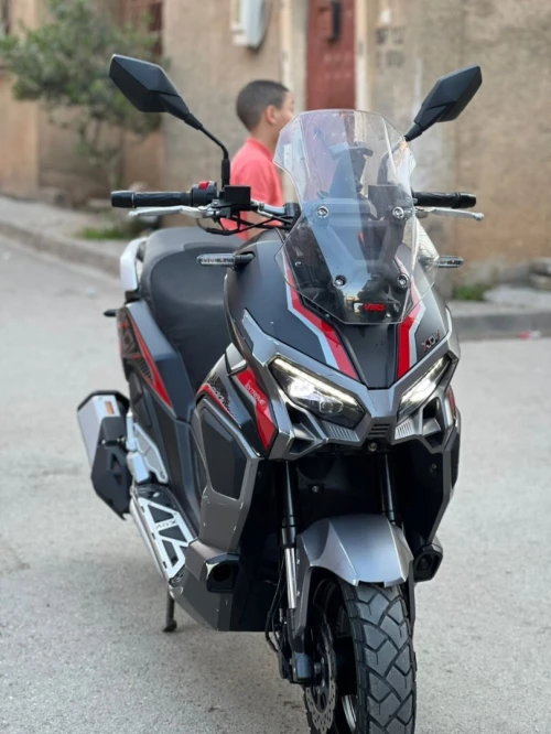 Vms XDV 2025