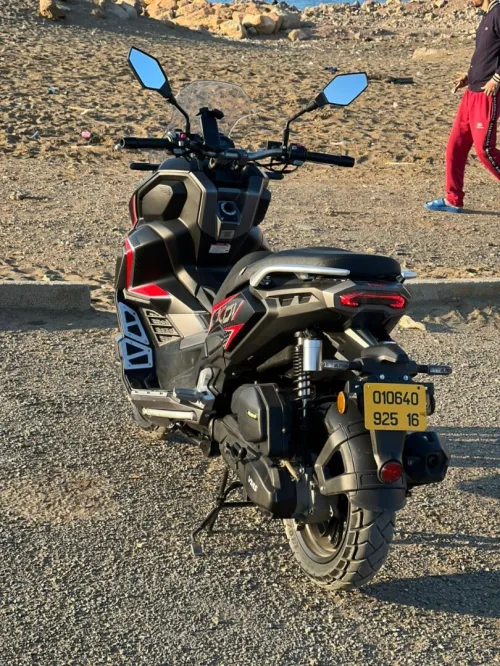Vms XDV 2025
