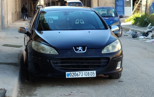 Peugeot 407 2008 407
