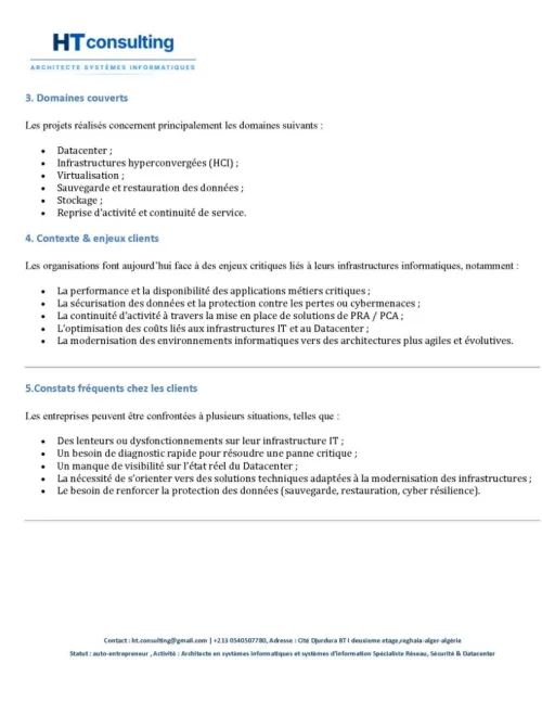 Consultanting informatique