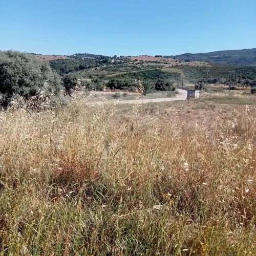 Vente Terrain Béjaïa Oued ghir